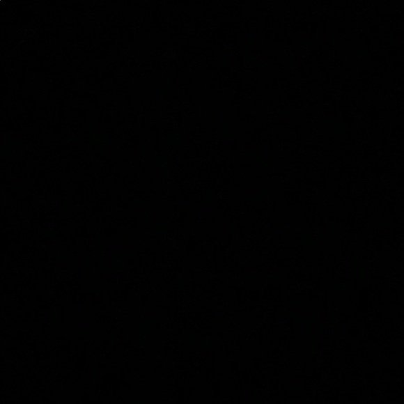 Meet your Posher, Robin - Picture 1 of 1